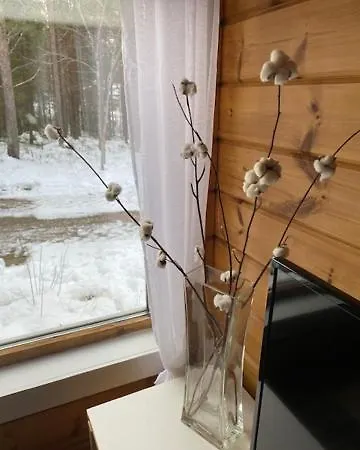 Lägenhet Levi Piippo 2