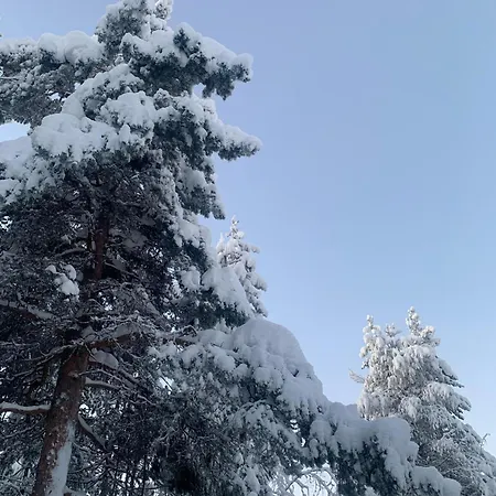 Appartamento Levi Piippo 2 *