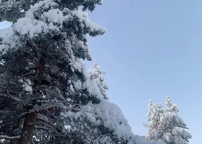 Daire Levi Piippo 2 *